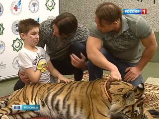 Донбасских детей, лечащихся в Москве, познакомили с живым тигром