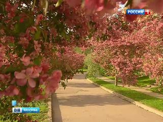 � �������������� ����� ������� ������