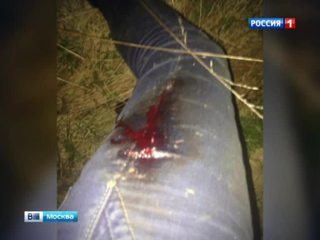 В Подмосковье инспекторы ГИБДД просто так обстреляли студента на мотоцикле