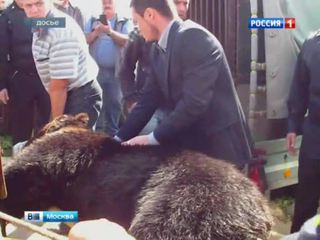 Мосгордума подготовит законопроект об охране диких животных