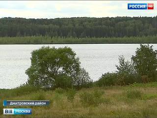 Стройка коттеджей под Дмитровом губит заповедное озеро