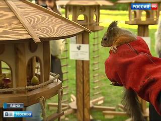 На ВДНХ появились бельчатники