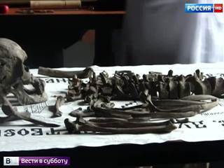 В могиле Николая II нашли мусор
