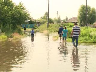Потоп под Омском: погибло все - от огурцов до картофеля