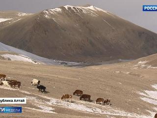 Алтайский туризм станет круглогодичным