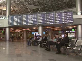 В аэропорту Внуково задержан таджик со взрывчаткой