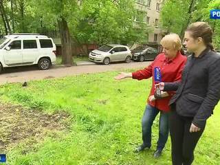 Вместо забора проплешина: московские газоны страдают от машин