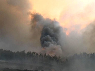 43 человека стали жертвами пожаров в Португалии