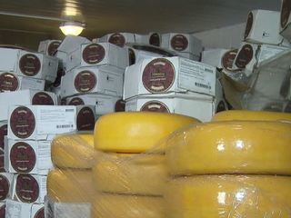 Два склада санкционного сыра: как запрещенный товар попал в Москву