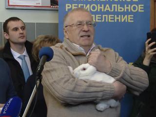 Владимир Жириновский заведет 22 кроликов