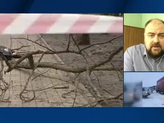 Во время урагана в Ростове-на-Дону упавшей веткой убило человека