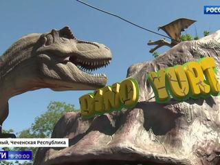 В Чечне откроется парк развлечений с дельфинарием, конным клубом и парком динозавров