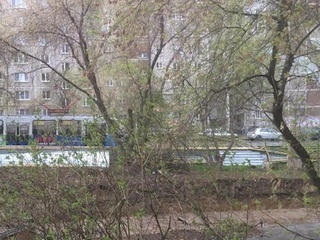 Ураган в Екатеринбурге: на машины валятся деревья и шифер