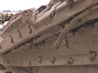 На берег Онежского озера выбросило старинный корабль