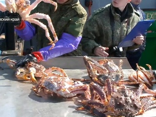 Контрабандисты вывезли из России ценных морепродуктов на 36 миллионов рублей