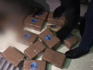В Петербурге полиция обнаружила 50 килограммов кокаина в рефрижераторе с бананами