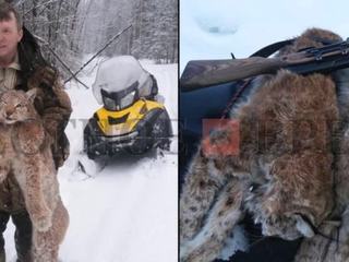 В Пермском крае незаконной охотой чиновников на спящего медведя заинтересовались следователи
