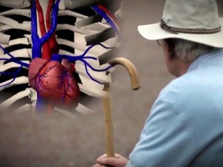 Доктор Беленков: можно ли вырастить новое сердце