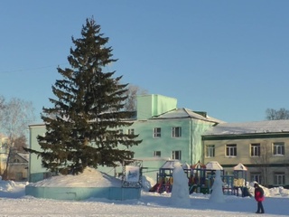 Власти города в Кемеровской области вернули новогоднюю ель владельцу