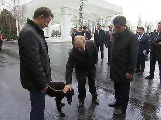 Президент Киргизии подарил Путину орловского скакуна и щенка