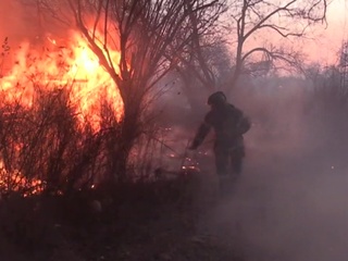 Лесные пожары: большинство возгораний - из-за неосторожного обращения с огнем