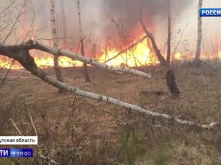 Площадь природных пожаров в России продолжает расти
