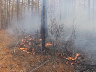 В России продолжают гореть тысячи гектаров