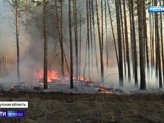 Лесные пожары охватили десятки регионов России