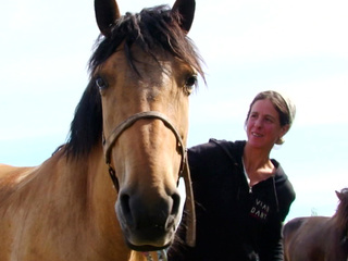Путешественница из Италии застряла в Псковской области из-за документов на лошадей