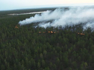 Якутию спасают от лесных пожаров