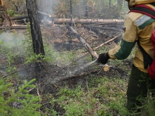 Лесные пожары не утихают