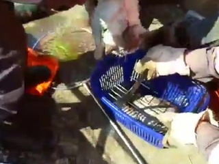 Котов вылавливали сачком: во время паводка в Иркутской области спасали не только людей