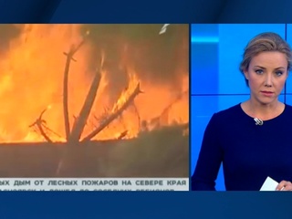 Красноярский губернатор призвал не раздувать панику вокруг лесных пожаров в Сибири