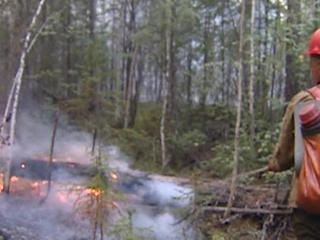 Цена бездействия: Минприроды пересмотрит границы зон контроля лесных пожаров