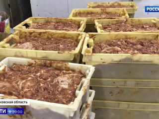 Нелегальный цех по производству мяса птицы закрыли в Люберцах