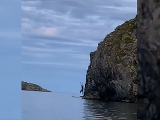 Отчаянный прыжок лося со скалы сняли на видео