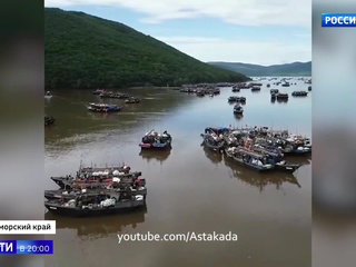 Приморская бухта забита иностранными судами, пережидающими тайфун 