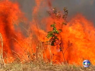 Власти Бразилии создали кризисный штаб в связи с пожарами в лесах Амазонии