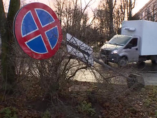 В Великом Новгороде штормовой ветер повалил остановки, деревья и дорожные знаки