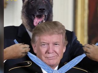 Пользователи Сети гадают: зачем Трамп опубликовал фотомонтаж с собакой