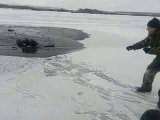 Шел по тонкому льду: под Иркутском рыбаки вытащили утопающего на веревке