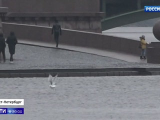 Природная аномалия: циклон с Балтики грозит Петербургу наводнением
