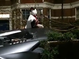 В Лондоне футболист в костюме снеговика разбил Lamborghini