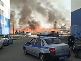 Огонь пришел раньше: несколько регионов России пострадали от лесных пожаров