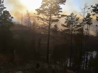 За сутки в России ликвидировано более 100 лесных пожаров