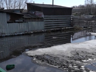 В Новосибирскую область пришла большая вода