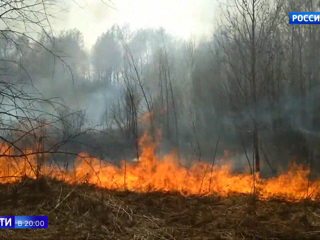Природные пожары бушуют в 62 регионах России