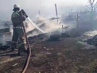 Лесные пожары в России: площадь возгораний растет