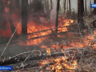 Смог, огонь и опасность: пожарные нескольких регионов ежедневно борются с лесными пожарами