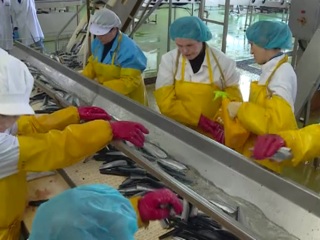 Консервы - будут! Производство рыбных продуктов на Сахалине не пострадало от карантина